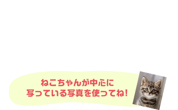 ねこちゃんの写真をアップするだけで 世界に一つだけの トレカが完成 ねこちゃんが中心に写っている写真を使ってね!