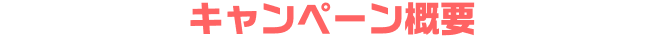 キャンペーン概要