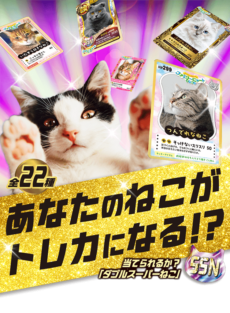 【全22種】あなたのねこがトレカになる!? 当てられるか？ SSN「ダブルスーパーねこ」